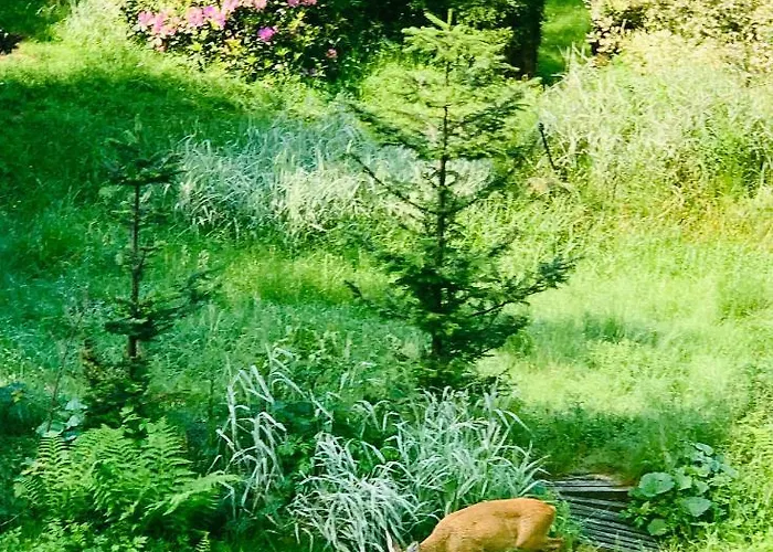 Vakantiehuis Dom Crocus Z Ogrodem W Parku Krajobrazowym Brenna