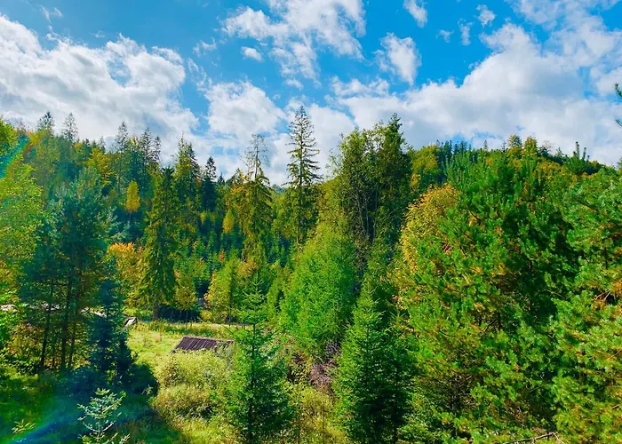 Dom Crocus Z Ogrodem W Parku Krajobrazowym Brenna