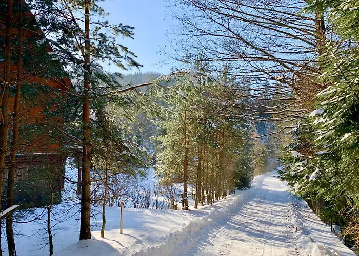 Dom Crocus Z Ogrodem W Parku Krajobrazowym Brenna